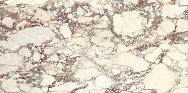 Calacatta Viola