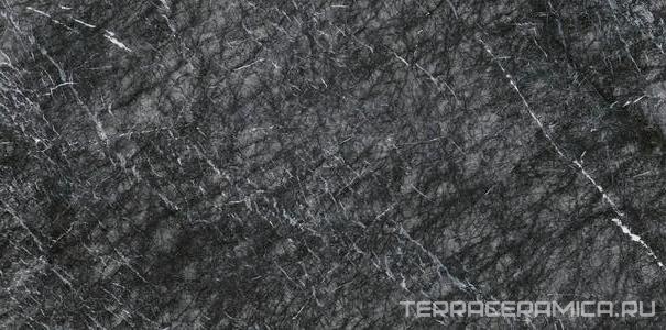 Grigio Carnico