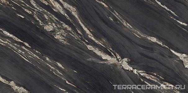 Tropical Black